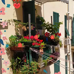 Elena Genova